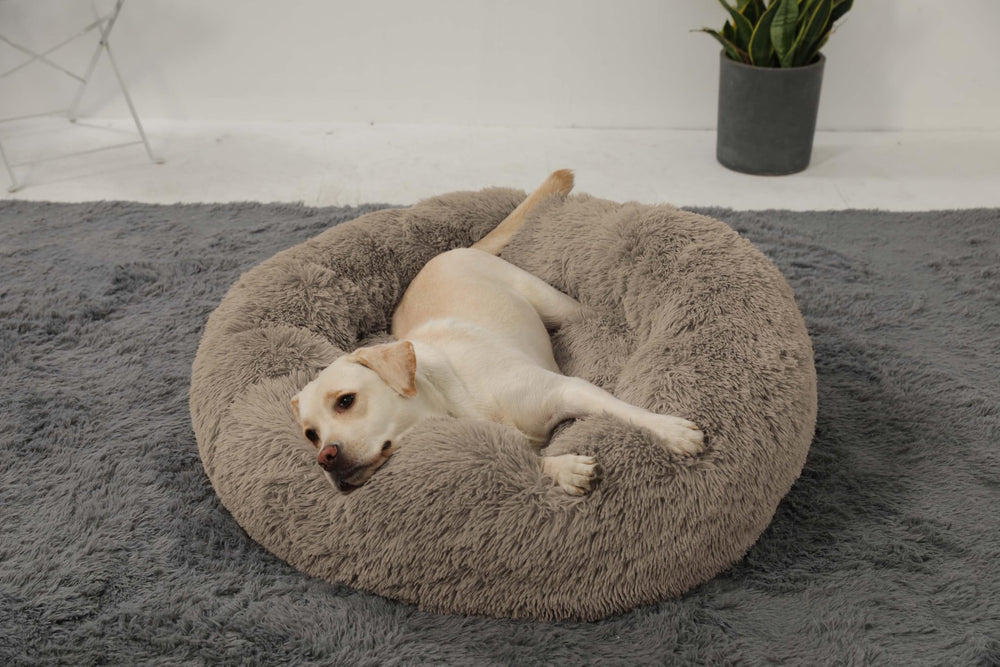 HACHIKITTY large taupe bed fits bigger dogs up to 85 lb.