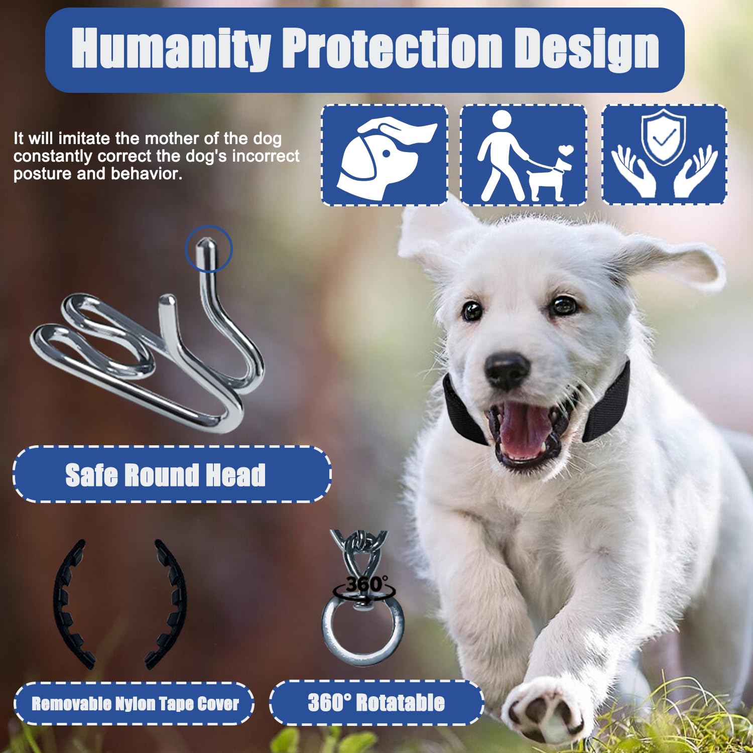 HAESINPA prong collar with adjustable links for a comfortable, snug fit.