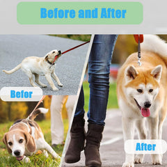 HAESINPA prong training collar adjustable neck size guide for the right fit.