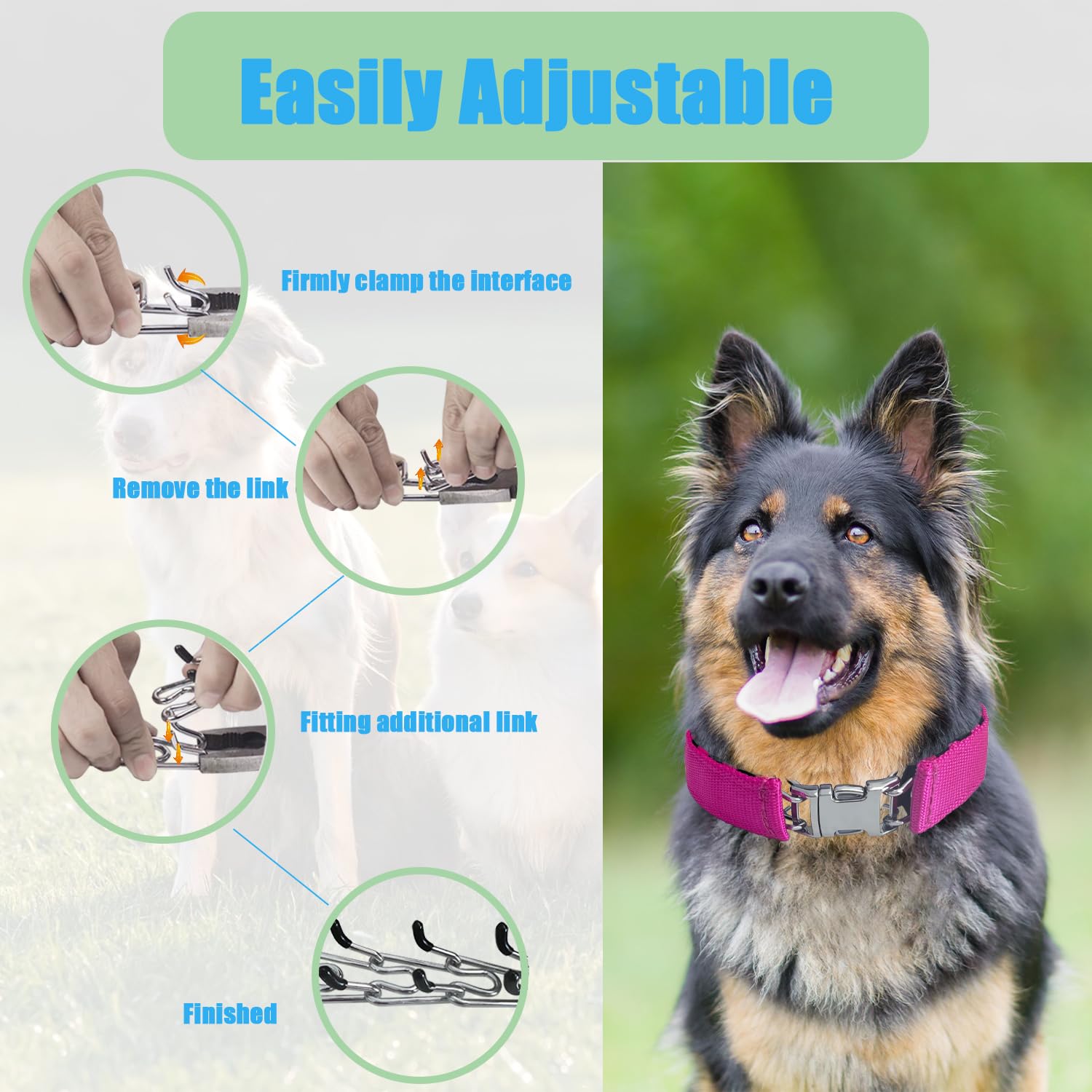 HAESINPA prong training collar humane training tool supports calm obedience.