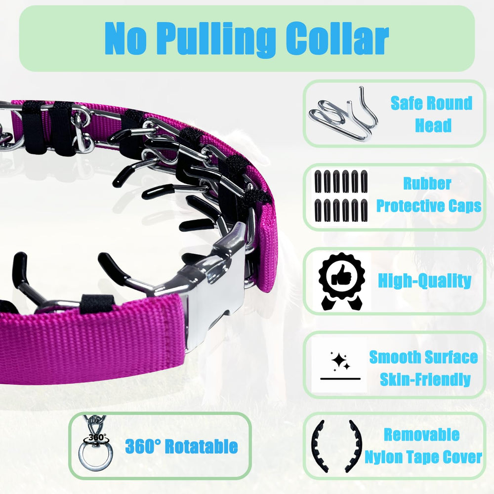 HAESINPA prong training collar with soft rubber caps for extra comfort.