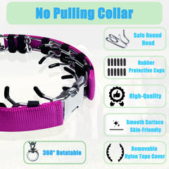 HAESINPA prong training collar with soft rubber caps for extra comfort.