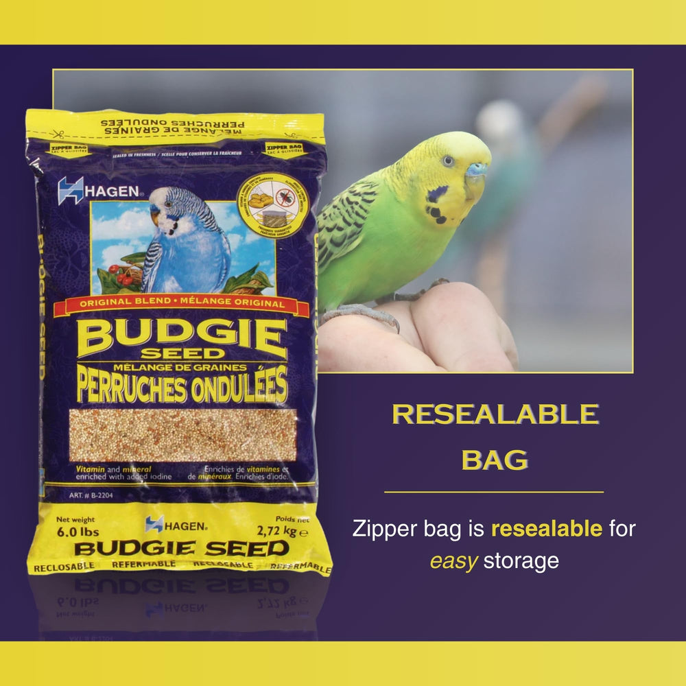 Hagen daily feeding seed bowl demonstrating easy, consistent bird meals.