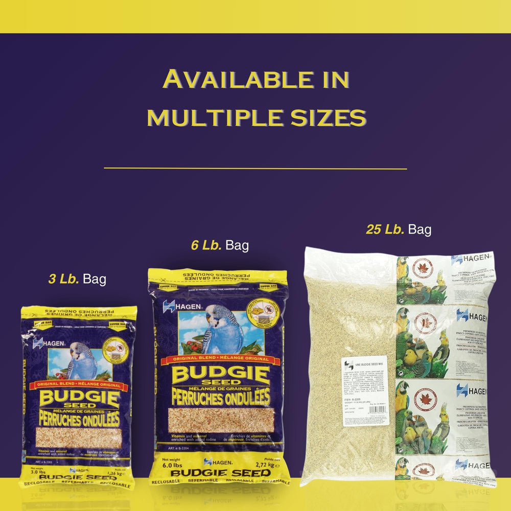 Hagen Parakeet Budgie Staple White Millet Seed serving time made simple