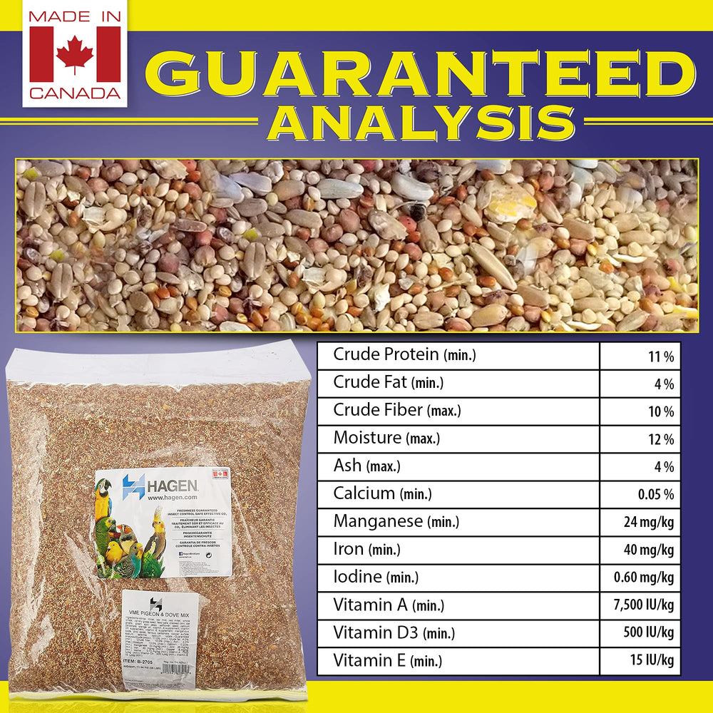 Hagen Pigeon Dove Seed Mix bird feeding scene conveys easy daily care.