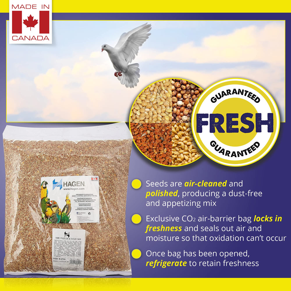 Hagen Pigeon Dove Seed Mix dust-free texture close view highlights quality ingredients.