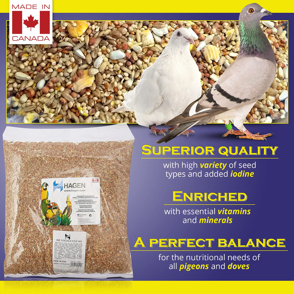 Hagen Pigeon Dove Seed Mix white millet close-up emphasizes natural nutrition.