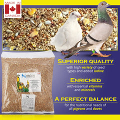 Hagen Pigeon Dove Seed Mix white millet close-up emphasizes natural nutrition.