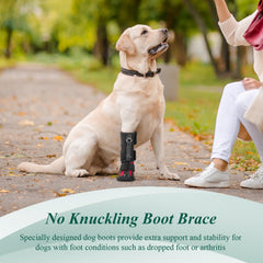 HAGGEMI dog boot offers arthritis support and paw protection.