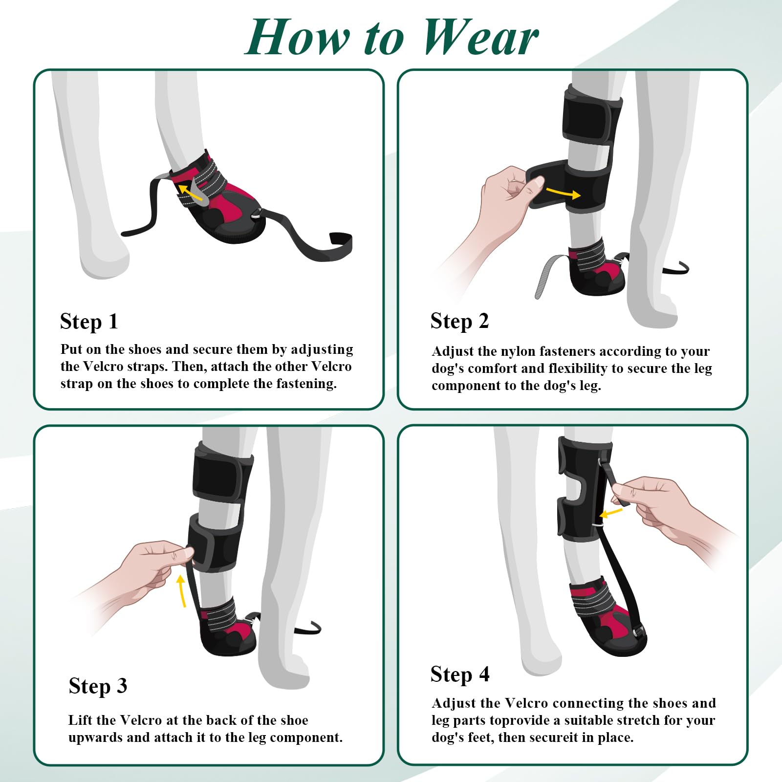 HAGGEMI paw measurement guide helps accurate sizing.