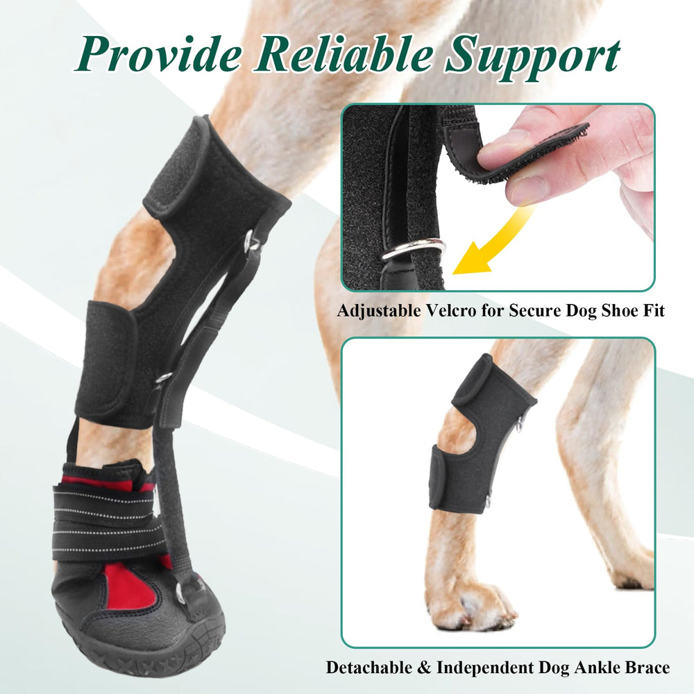 HAGGEMI Strap-On Drop Foot Brace adjustable straps demonstrate easy fit for dogs.