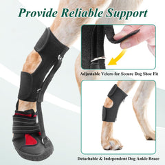 HAGGEMI Strap-On Drop Foot Brace adjustable straps demonstrate easy fit for dogs.