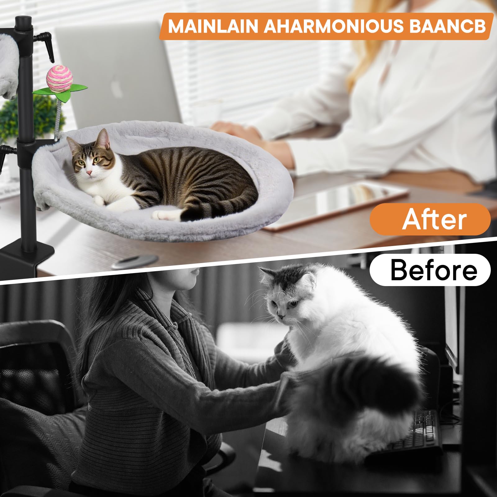 Haijunnm Double Cat Desk Bed with height adjustment for eye-level comfort