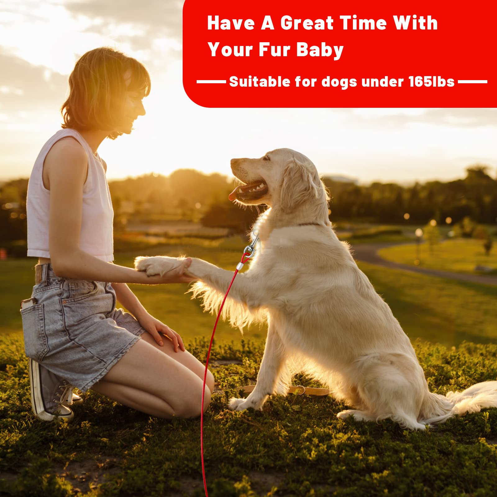 HaiYUAN dog tie out cable outdoor use and setup for camping and yard