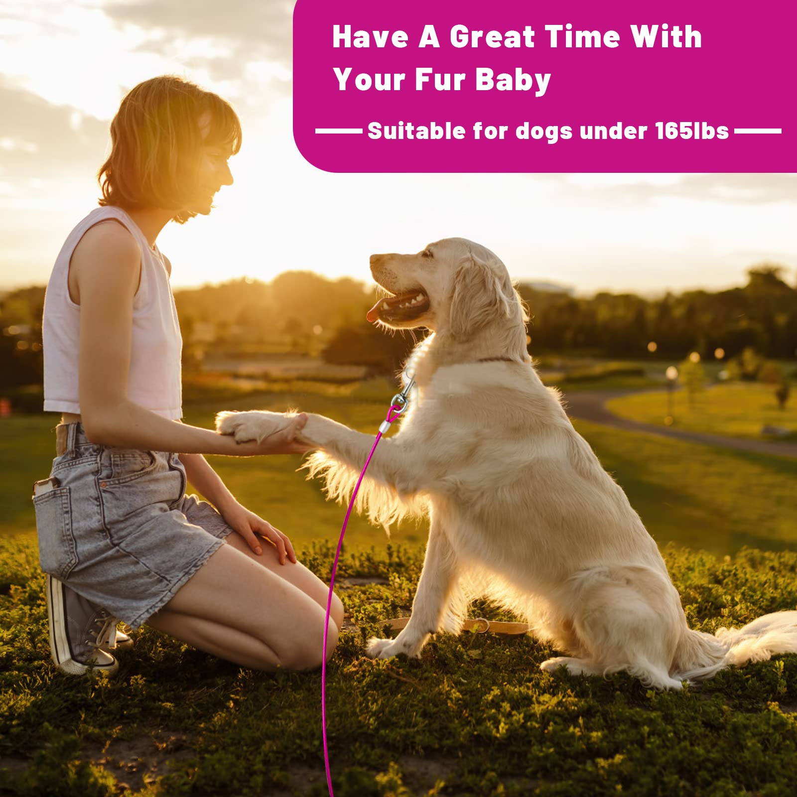 HaiYUAN suitable for large dogs up to 165 lbs with freedom and control