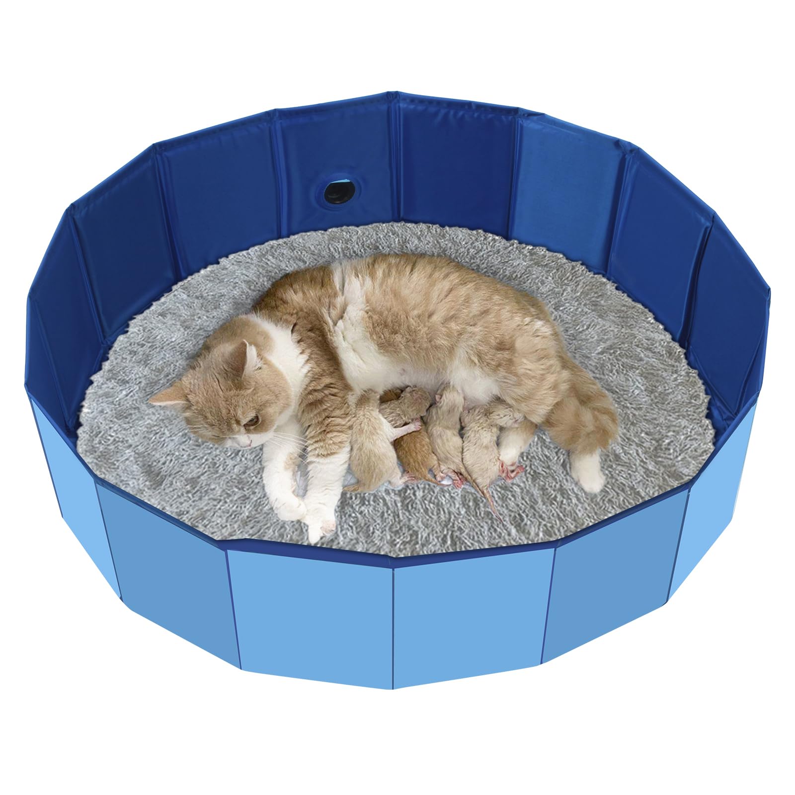 HALAGAS cat birthing box nesting view offers a warm, calm space for cats to give birth and nurse.