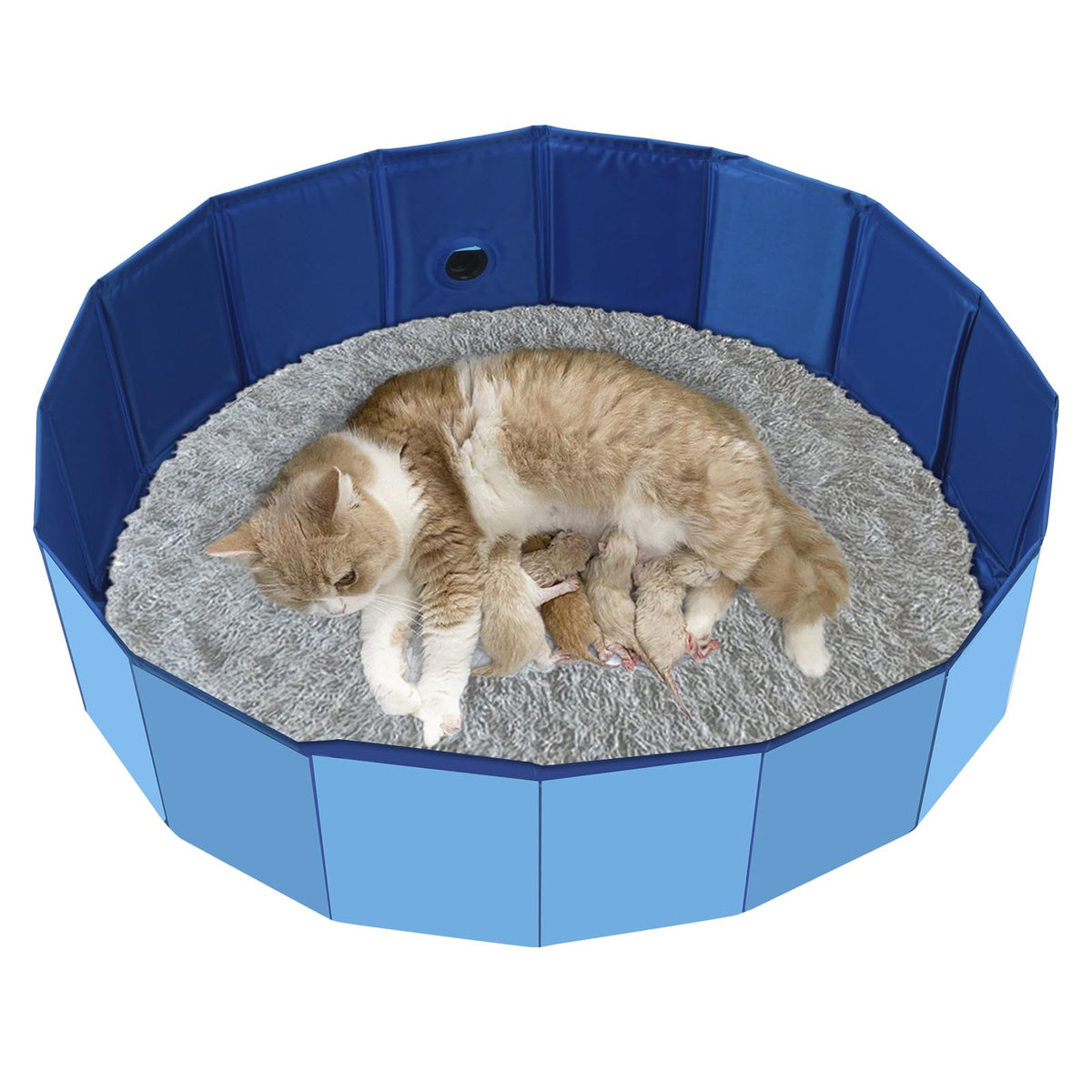 HALAGAS cat birthing box nesting view offers a warm, calm space for cats to give birth and nurse.