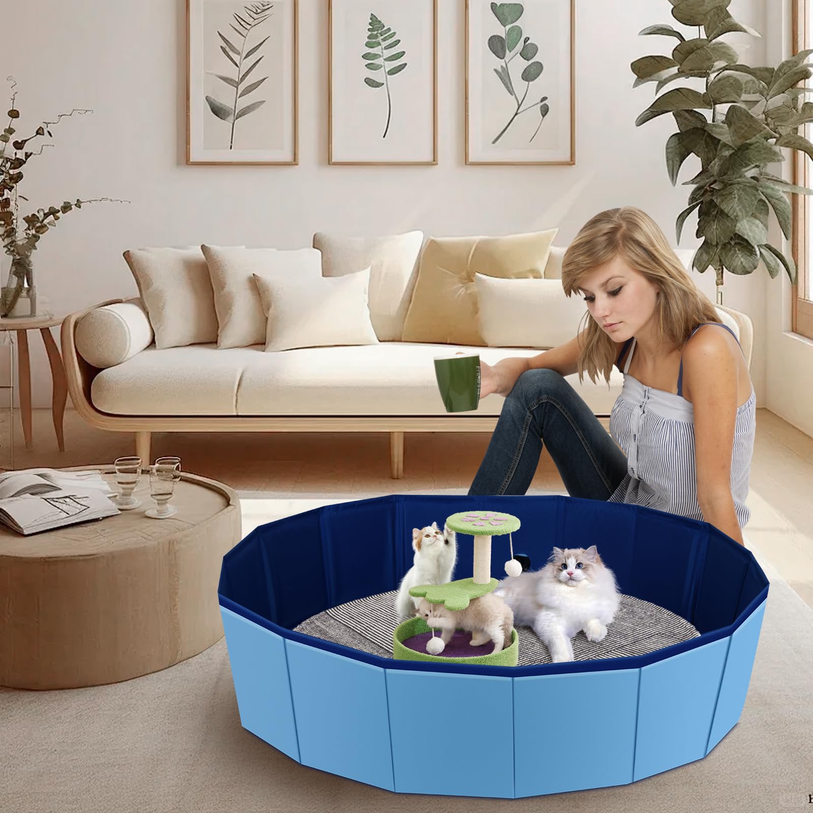 HALAGAS multi-use cat pool with play scene shows versatility.