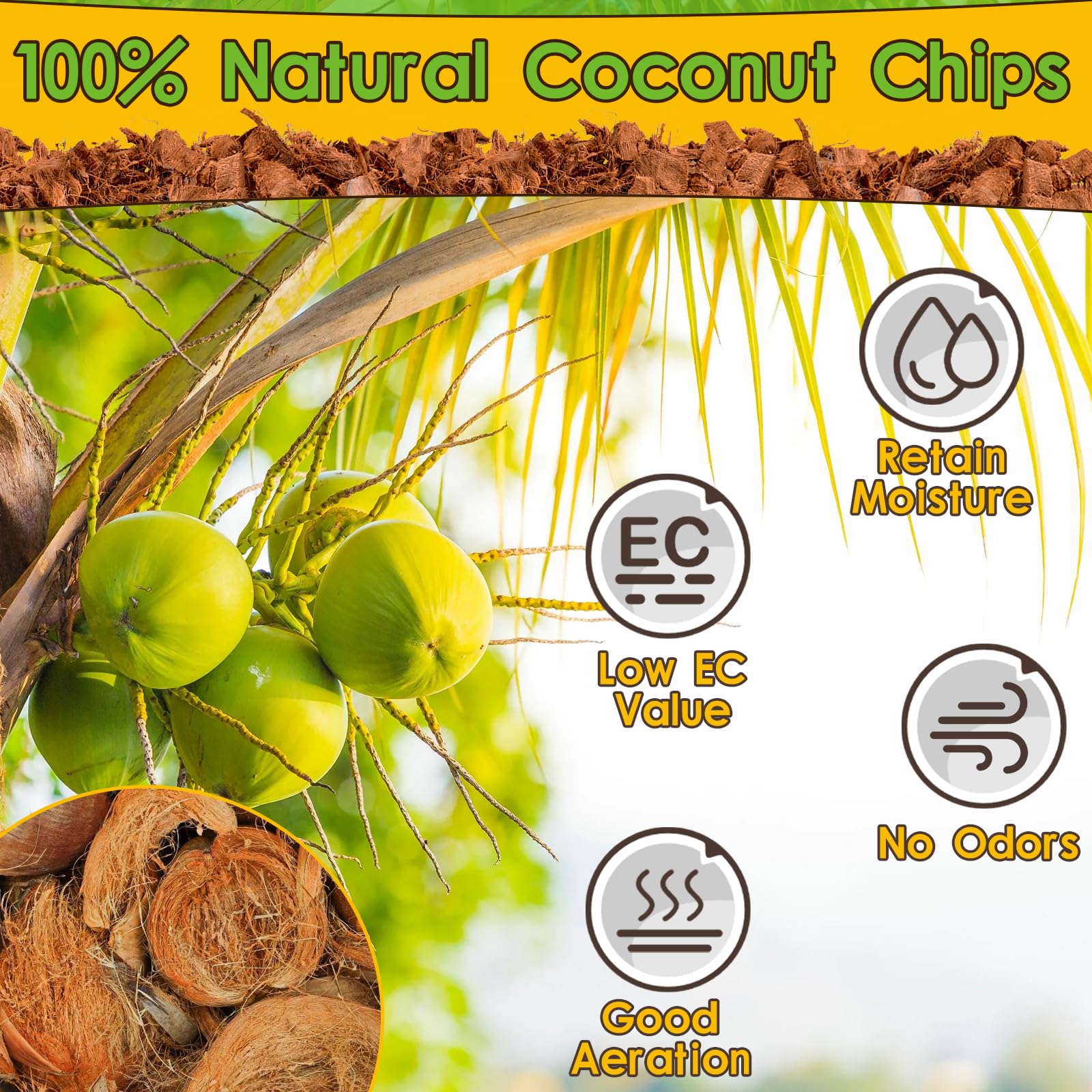 Halatool coconut husk substrate—low EC, safe for delicate terrarium habitats.