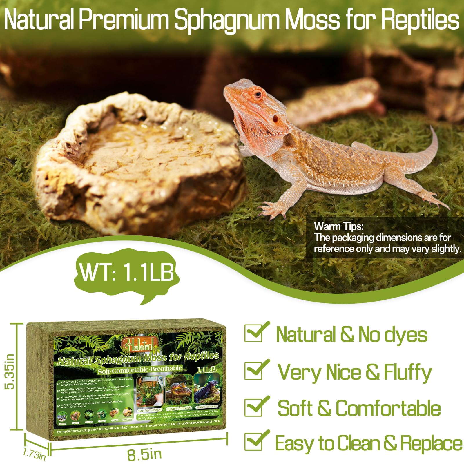 Halatool green terrarium moss provides humidity retention for thriving terrarium plants.