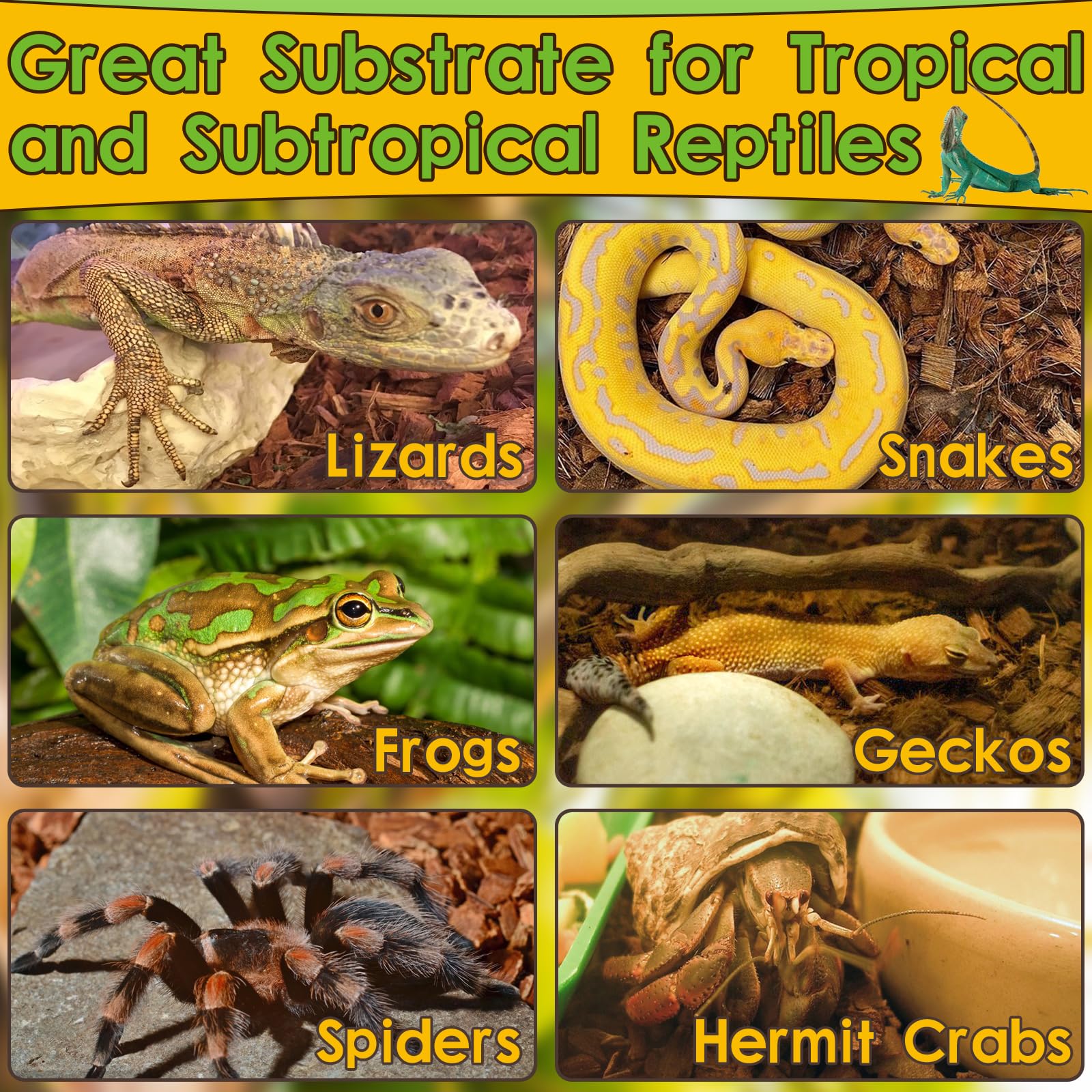 Halatool coco husk substrate—excellent absorption to help control humidity.