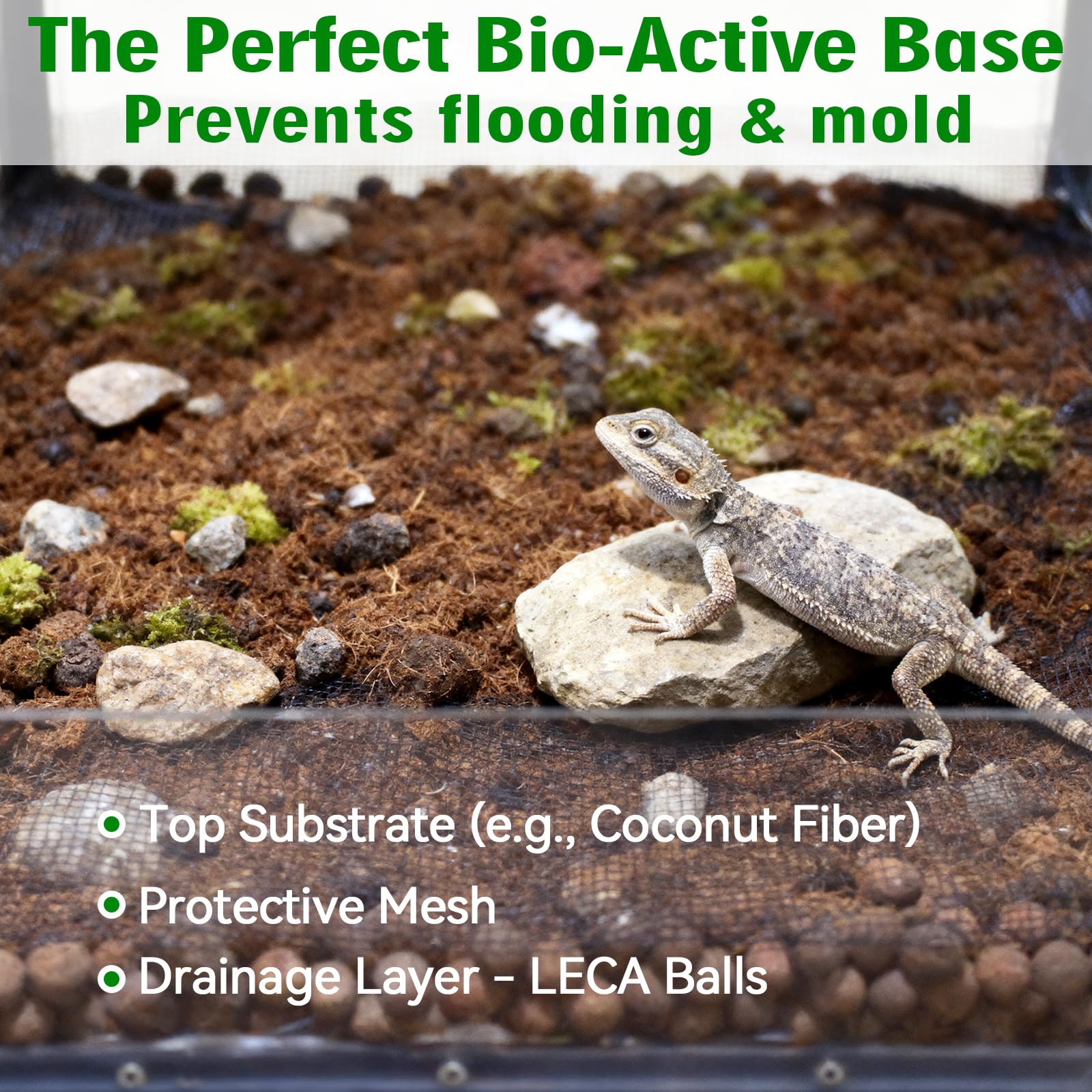 Halatool LECA clay pebbles are low-dust bedding for cleaner air.