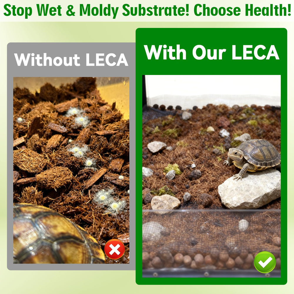 Halatool LECA pebbles are easy to clean and reusable.