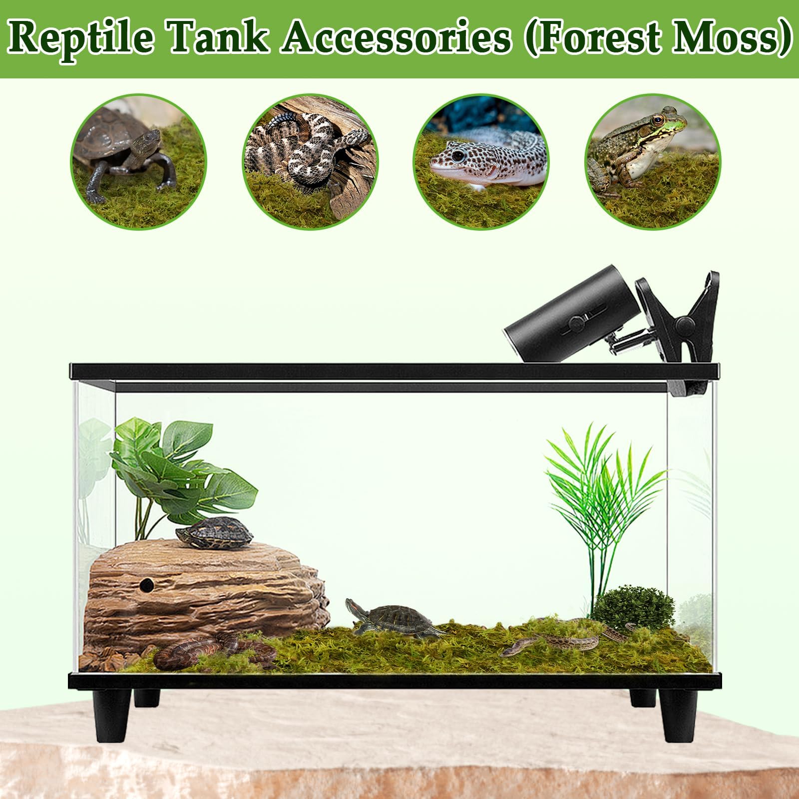 Halatool natural sphagnum moss contains no dyes for safe reptile habitats.