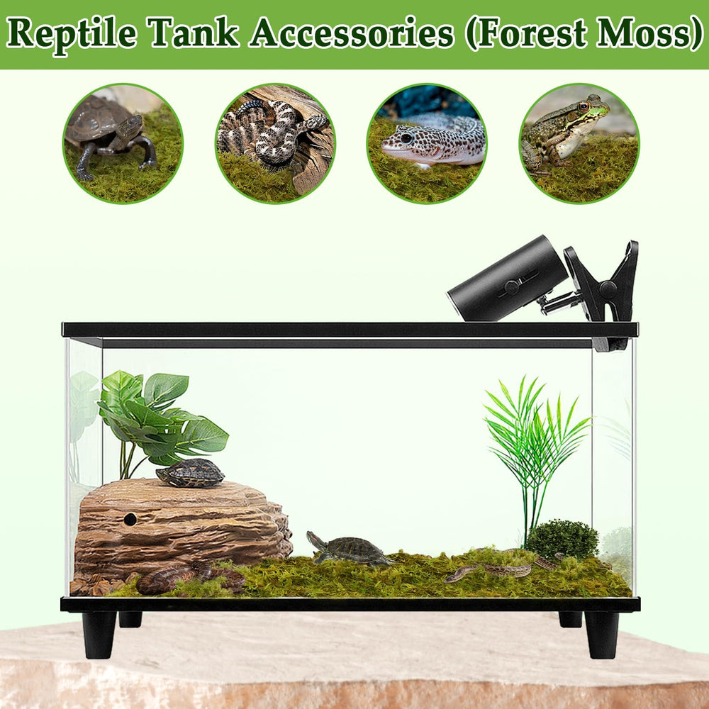 Halatool natural sphagnum moss contains no dyes for safe reptile habitats.