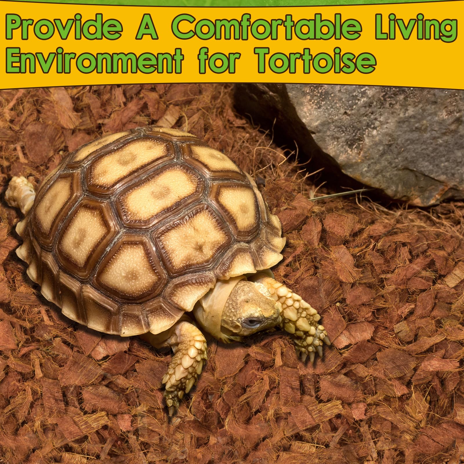 Halatool reptile bedding expansion—soft surface suitable for natural burrowing.
