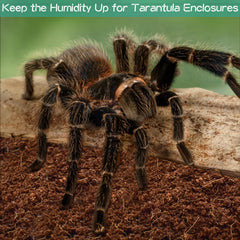 Halatool substrate supports odor control and clean habitats