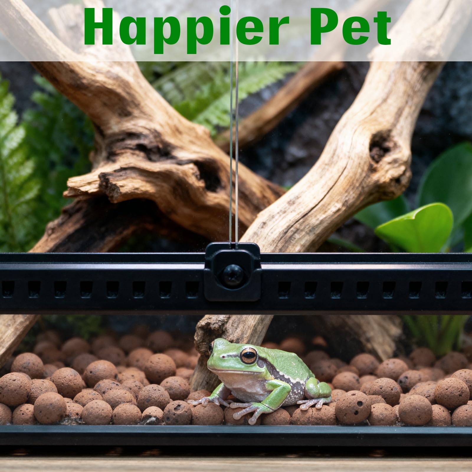 Halatool LECA for bearded dragon provides a stable base.