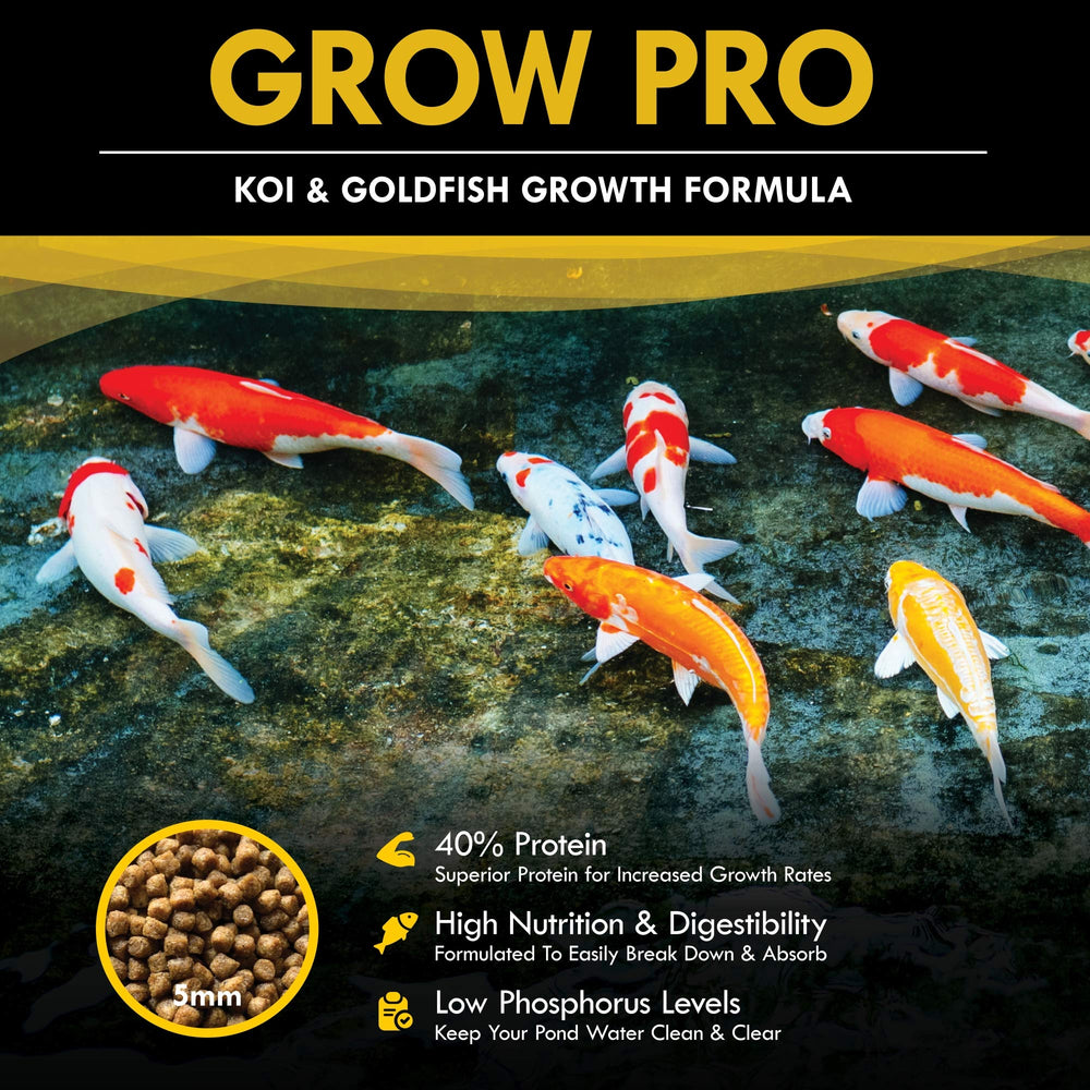 Probiotic-enriched pellets support digestion and clearer water in ponds.