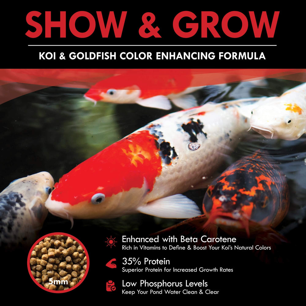 Low phosphorus formula of HALF OFF PONDS Show & Grow supports pond balance