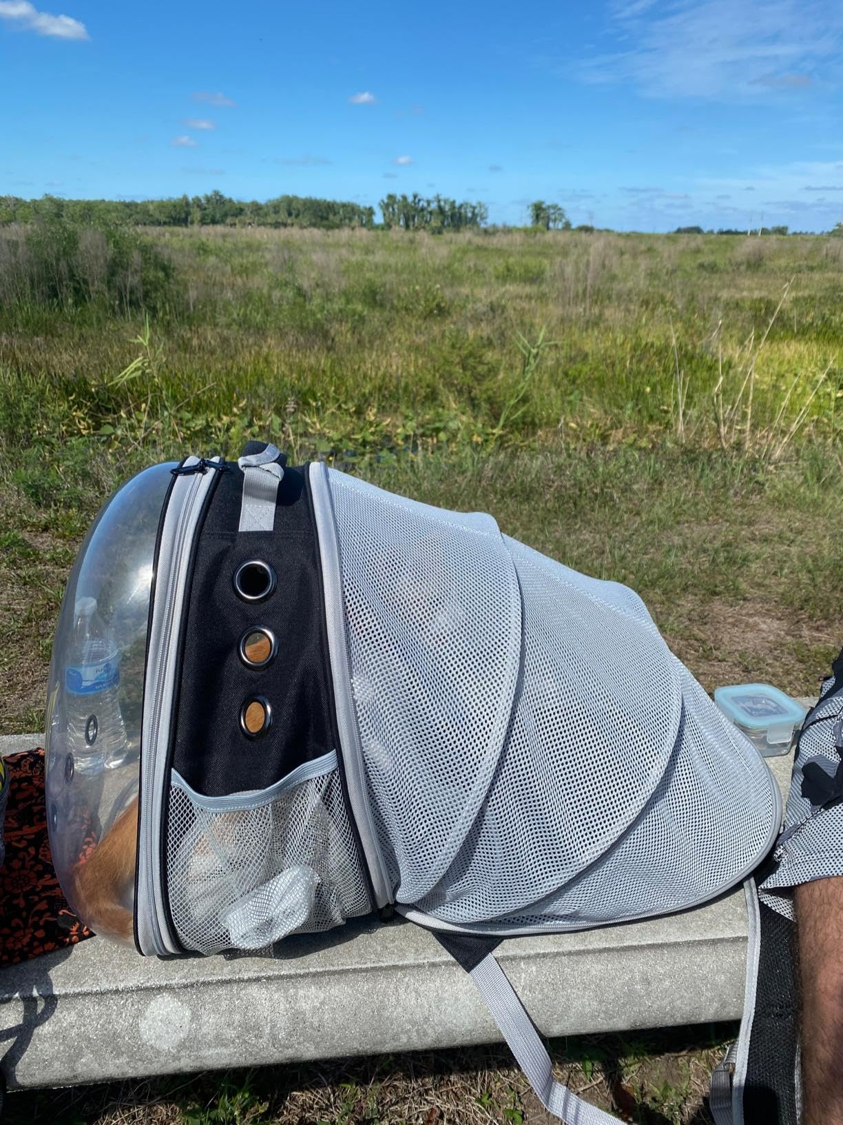 halinfer airline-approved design supports travel with cats and small dogs