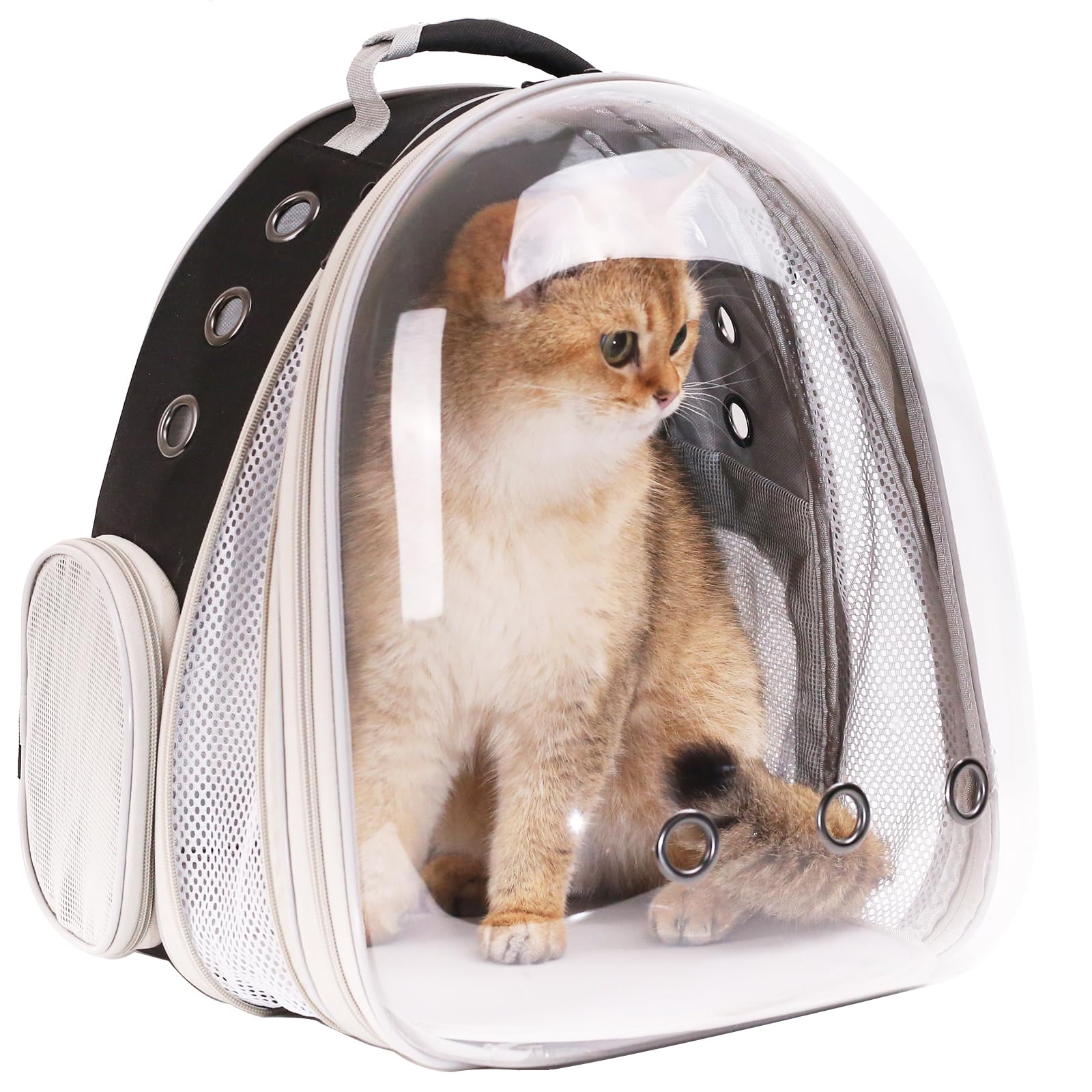Halinfer fits under airplane seats for convenient travel