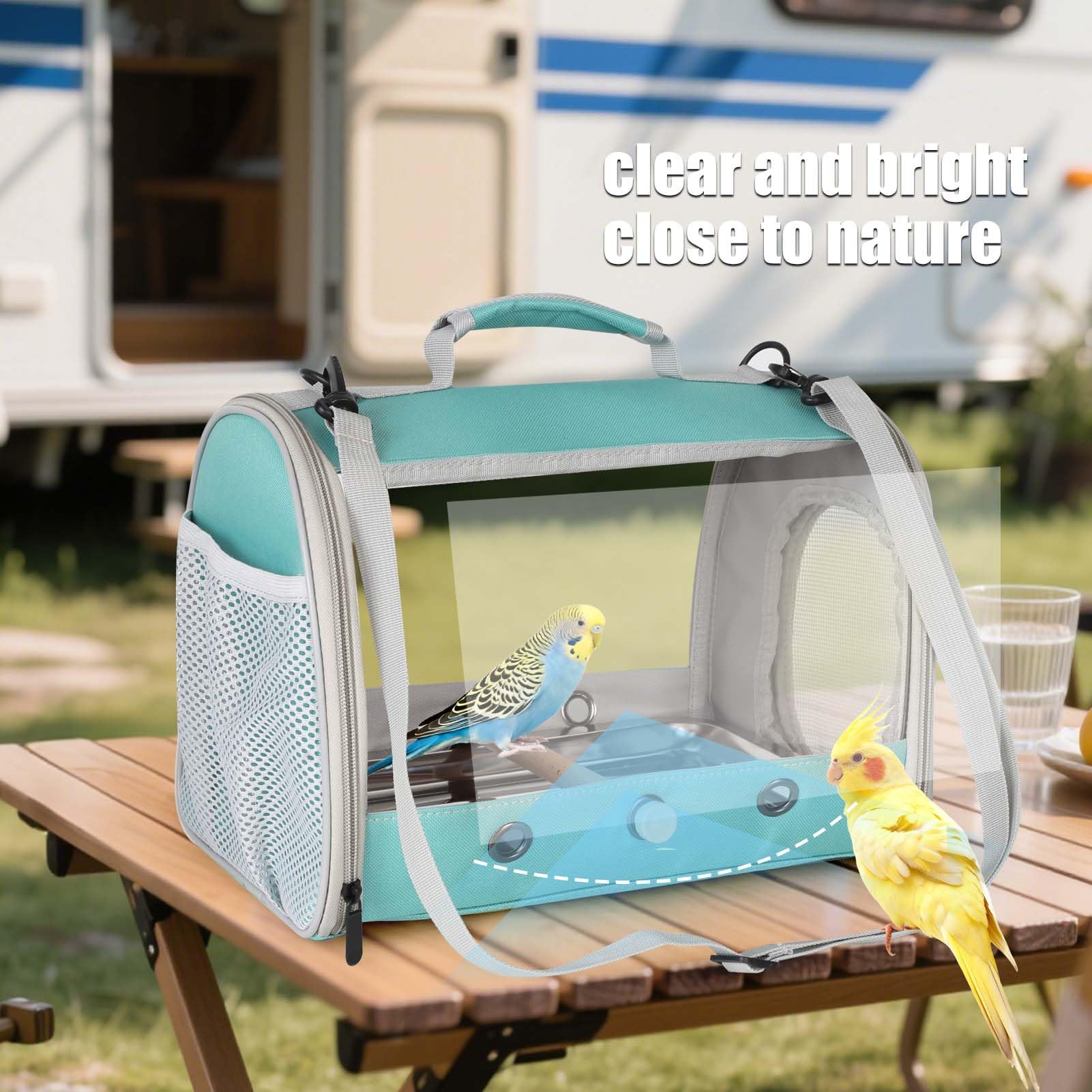 Halinfer natural wooden perch inside supports relaxed standing during journeys.