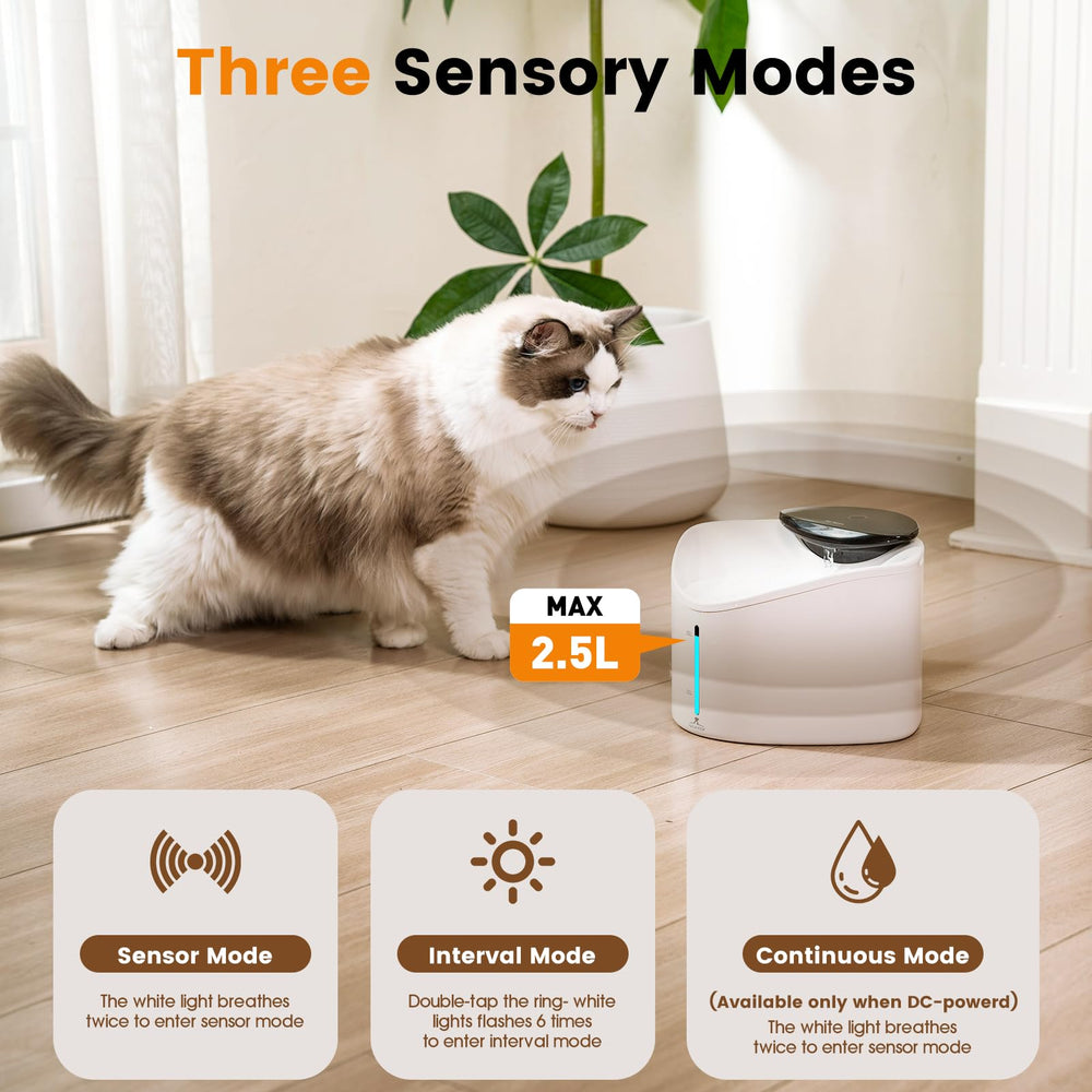 Halkydy quiet operation ensures pet rest and household peace