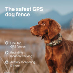Halo Collar 5 boundary setup shown in app for fences