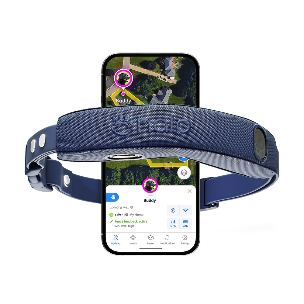 Halo Collar 5 boundary setup outdoors keeps dogs safely contained during outdoor play.