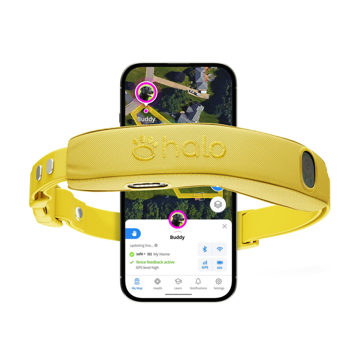 Halo Collar 5 boundary setup demonstrates quick fence creation for outdoor safety.