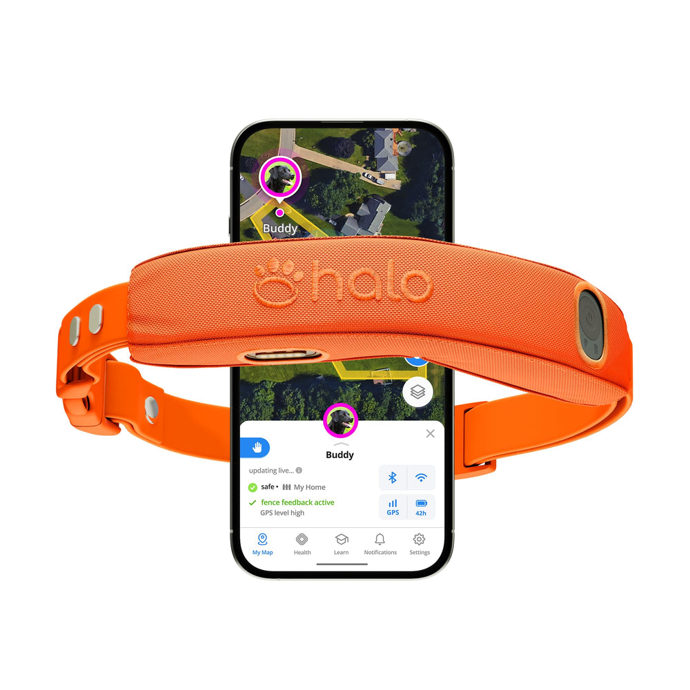Halo Collar 5 device close-up highlighting precise GPS hardware for real-time tracking.