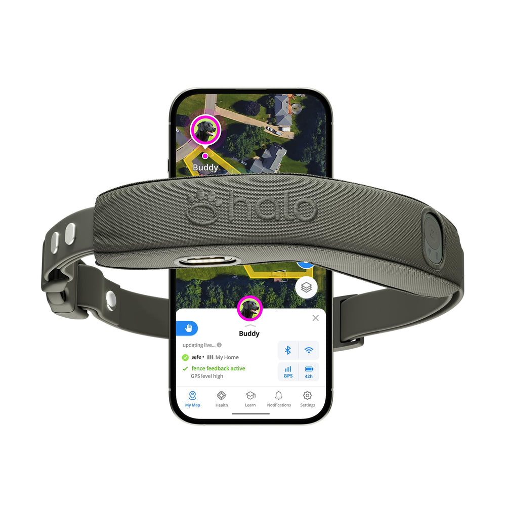 Halo Collar 5 graphite front view showing stylish outdoor containment