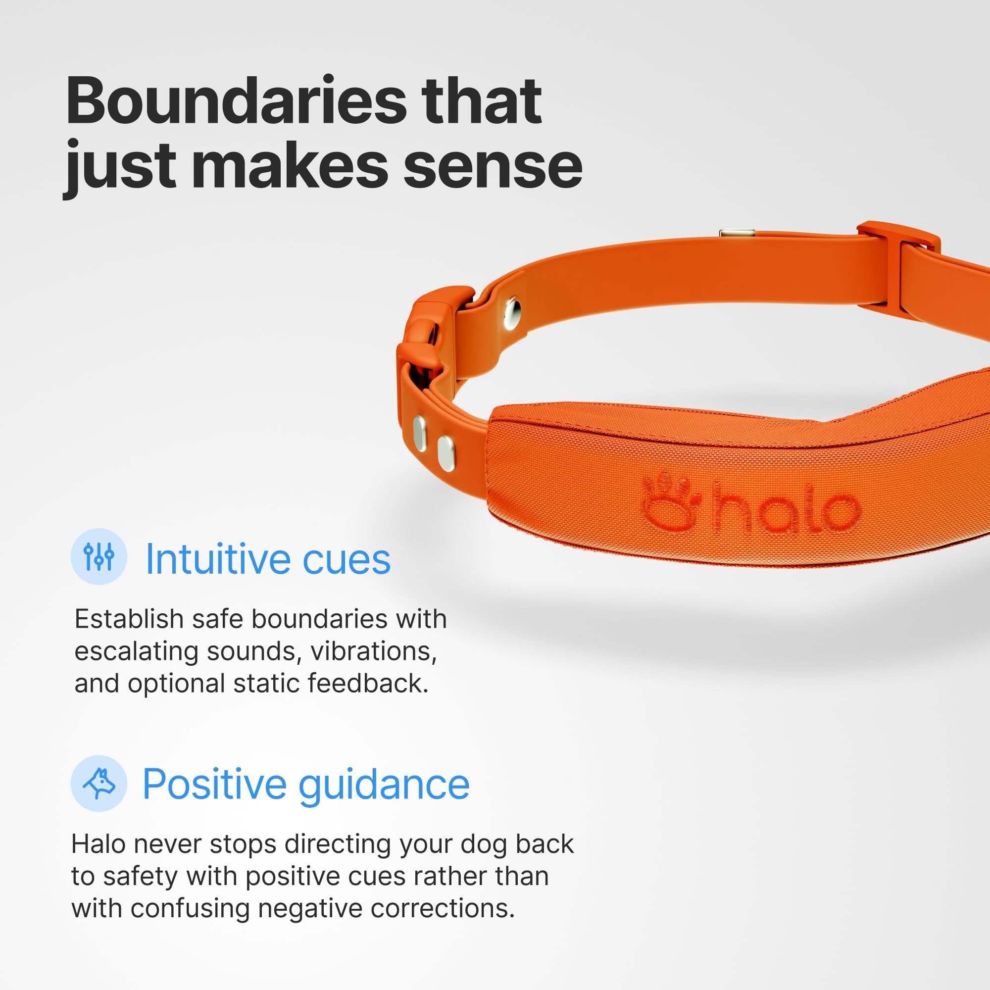 Halo Collar 5 training guidance supports boundary understanding for dogs.
