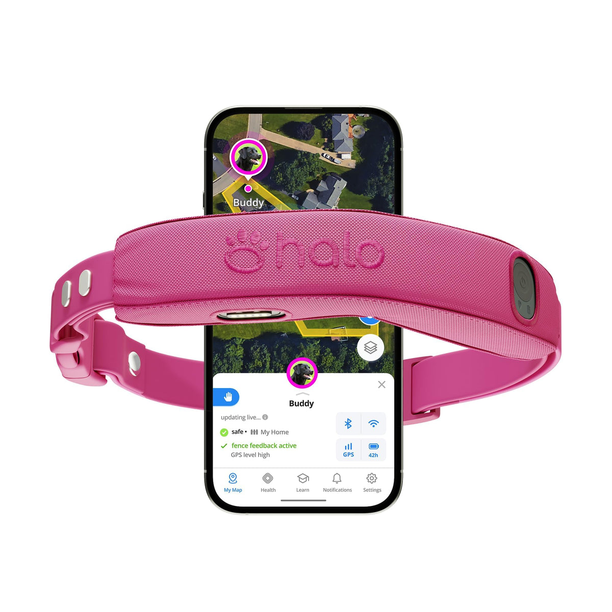 Halo Collar 5 worn on dog for secure outdoor containment and freedom