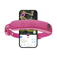 Halo Collar 5 worn on dog for secure outdoor containment and freedom
