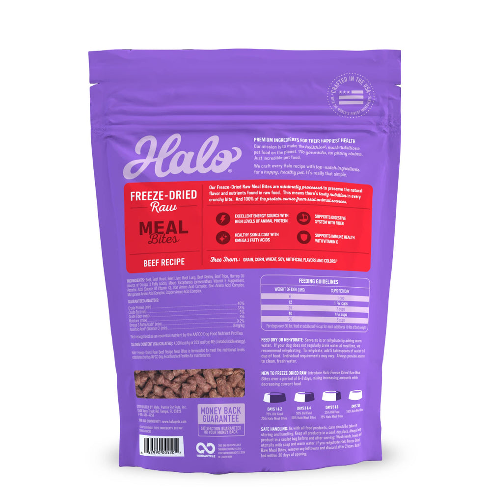 Halo dog bowl with crunchy bites ready to serve for daily adventures.