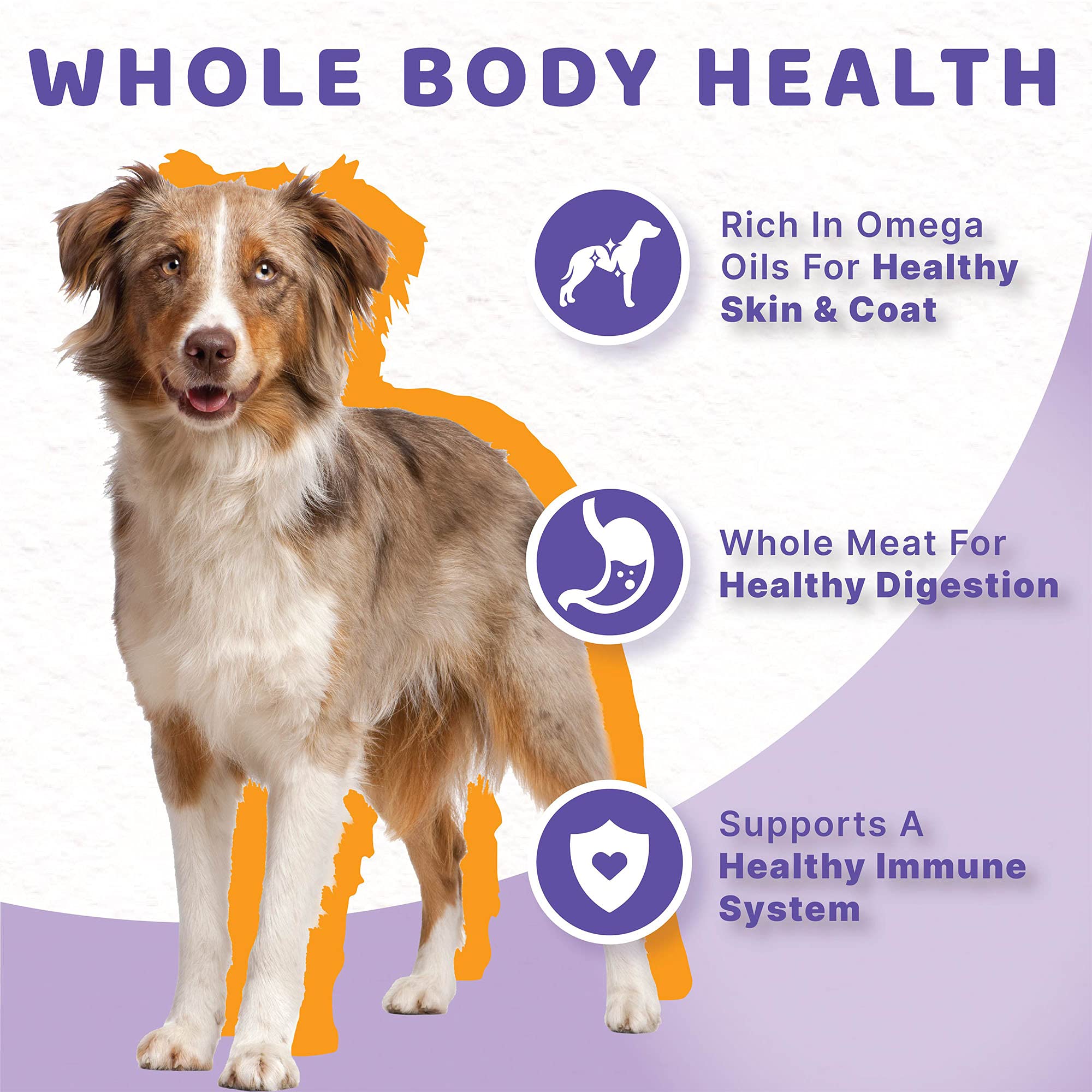 Halo Healthy Grains case pack of wet food with chicken cans for convenient feeding