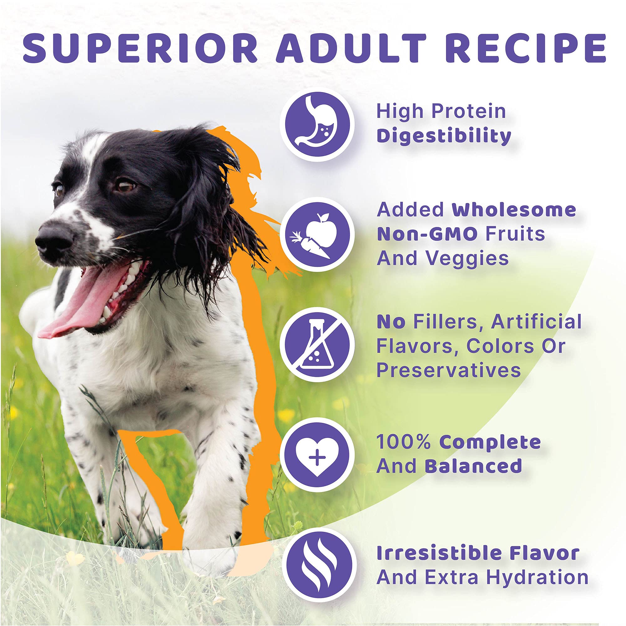 Halo Healthy Grains dog food with vegetables in broth serving bowl showing texture