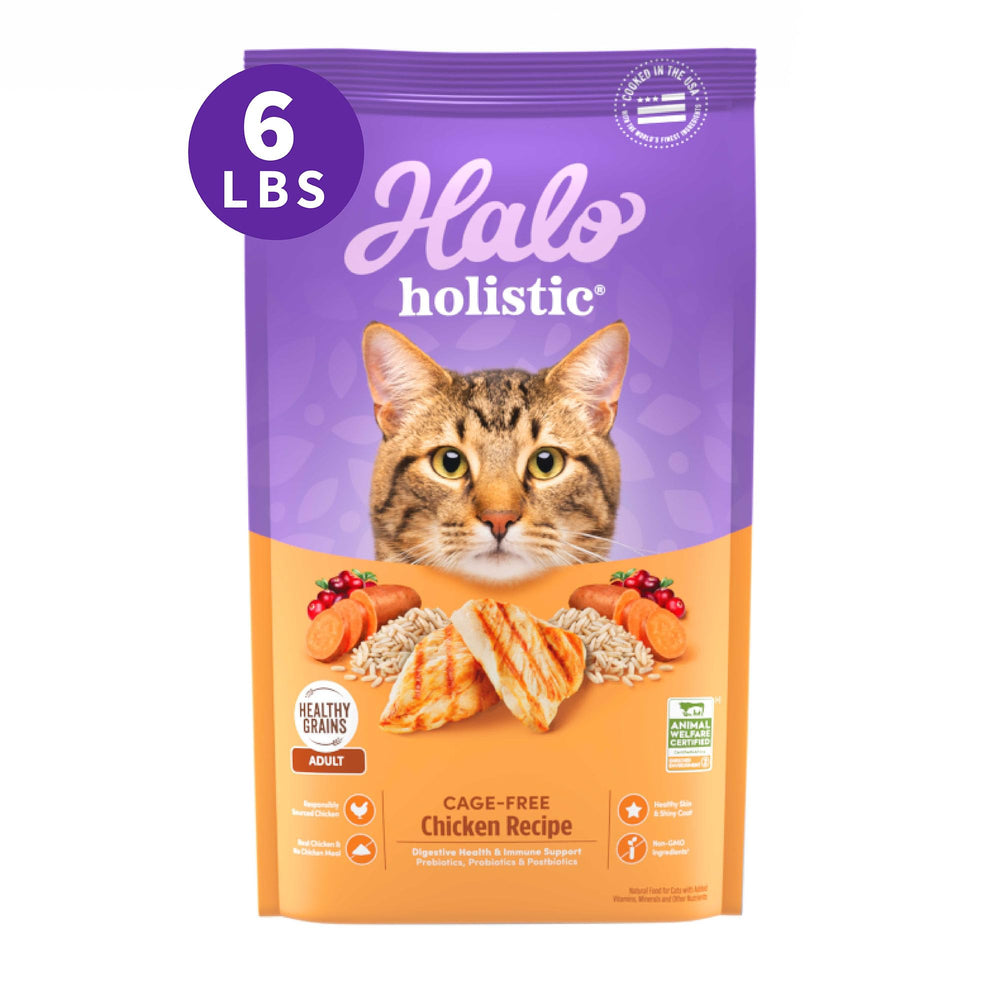 Halo Holistic cage-free chicken kibble bag—complete adult cat nutrition.